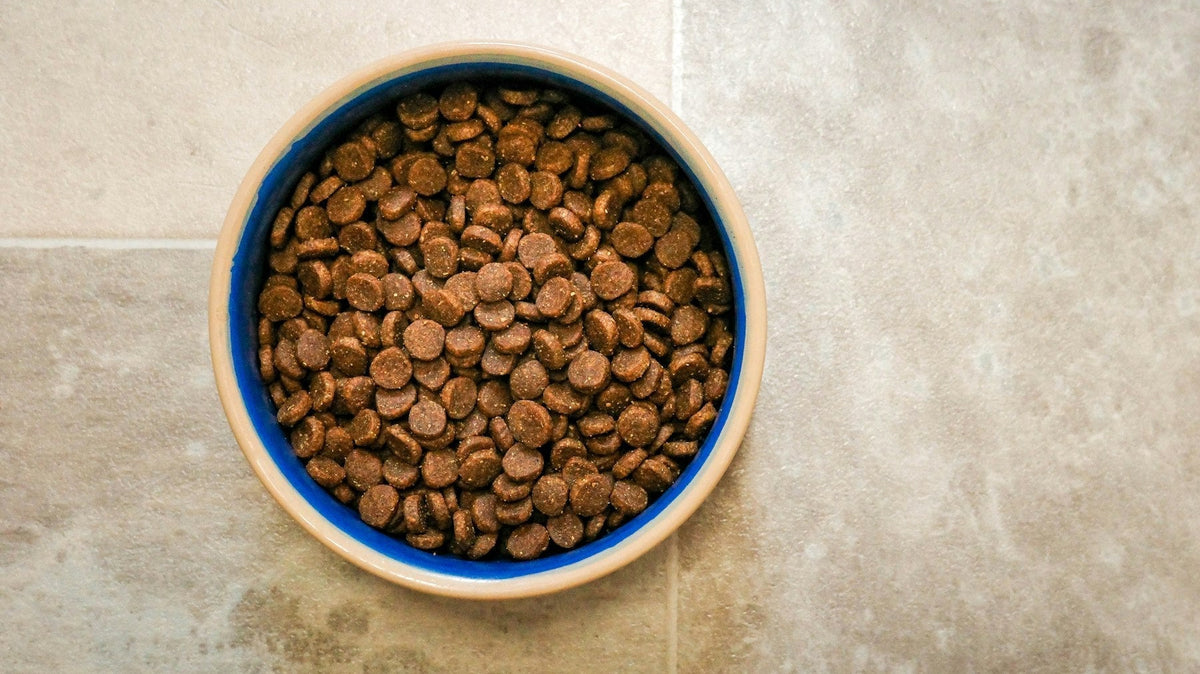 An overhead view of a blue ceramic bowl filled with dry pet food on a tiled floor.