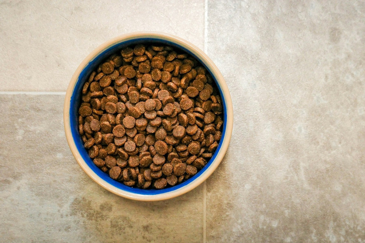 An overhead view of a blue ceramic bowl filled with dry pet food on a tiled floor.