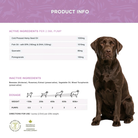 Dog food topper ingredient list (including hemp seed oil, fish oil, quercetin, and pomegranate) and dosage chart, next to labrador dog