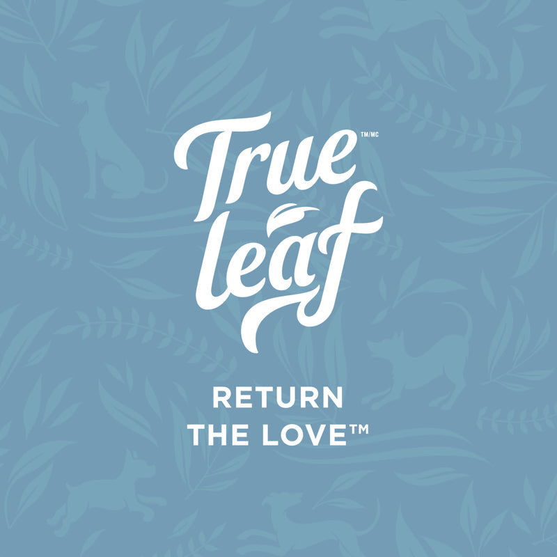 True Leaf, Return the Love