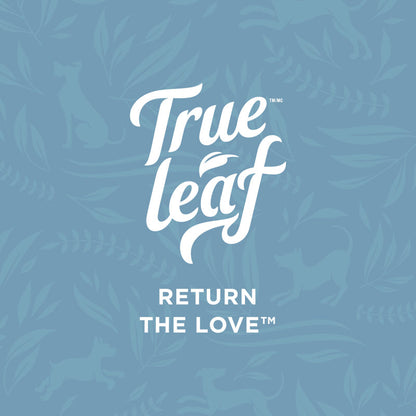 True Leaf, Return the Love