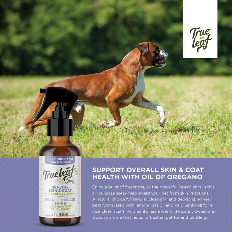 Dog healthy clearance coat