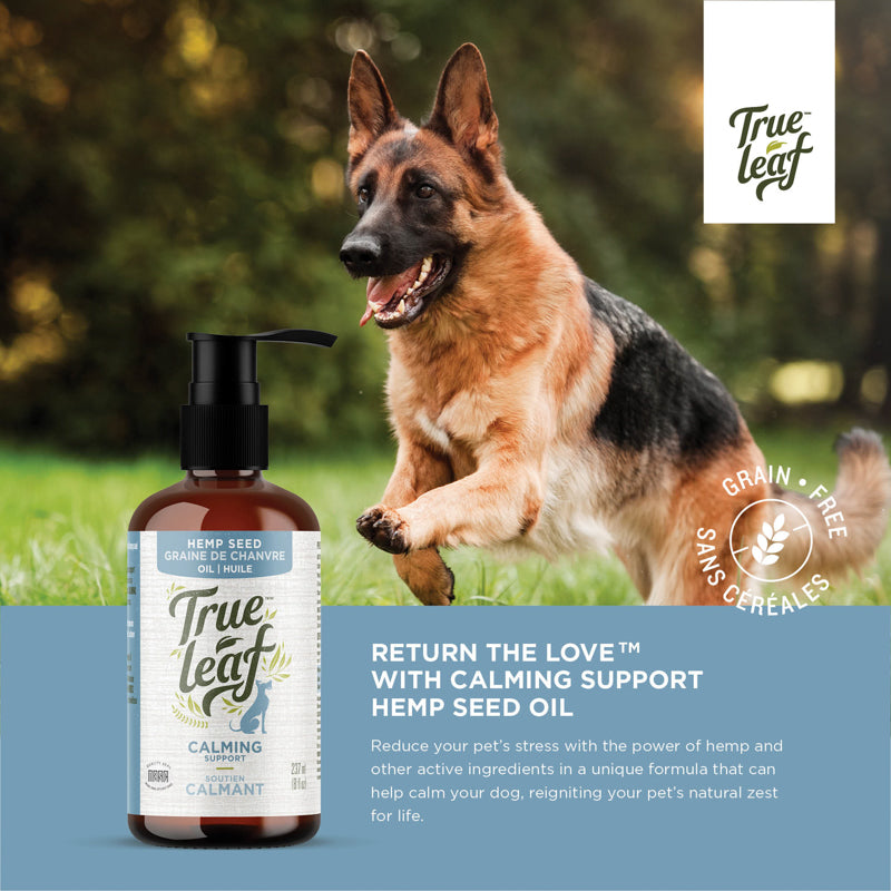 Information panel for Trueleaf Calming Support oil, 237 ml, shown as a food topper, naming hemp seed oil.
