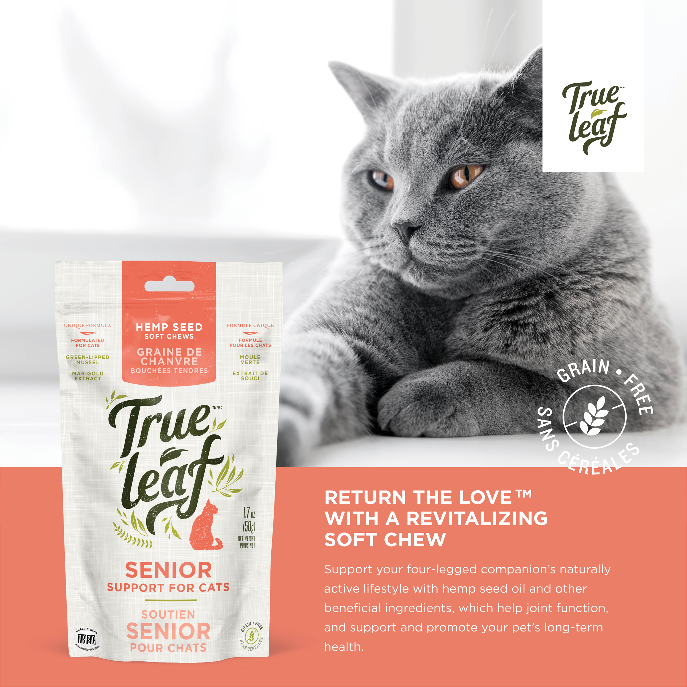 Senior Support chews for cats