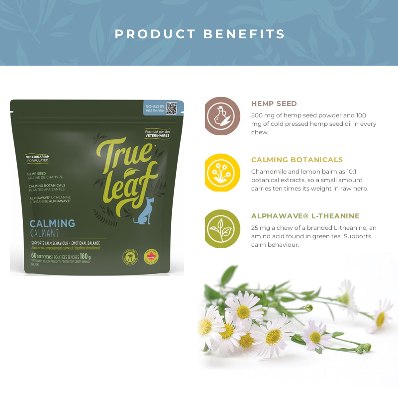 Calming Support Chews benefits: hemp seed, calming botanicals and Alphawave L-theanine
