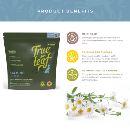 Calming Support Chews benefits: hemp seed, calming botanicals and Alphawave L-theanine